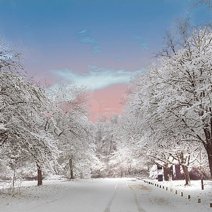 Photo de Château de Chambord
