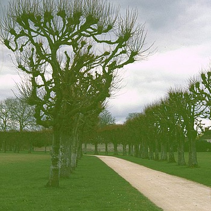 Photo de Château de Chambord