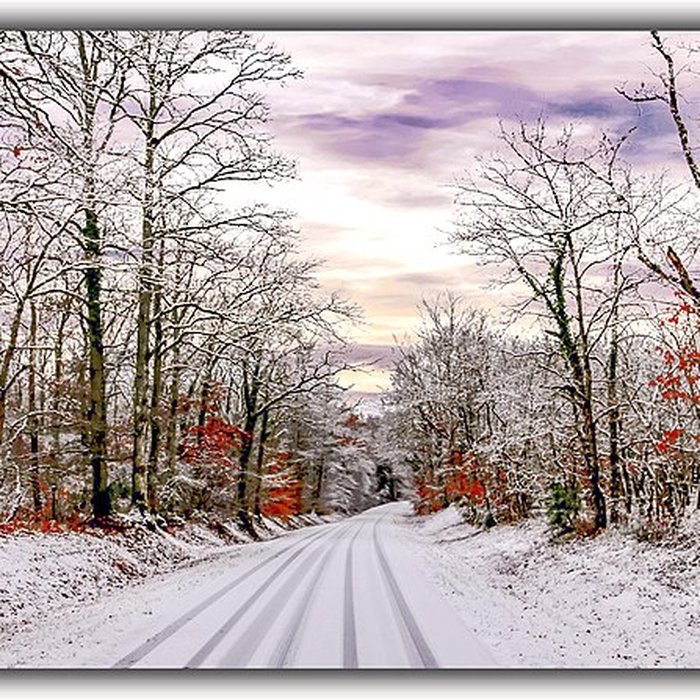 Photo de Château de Chambord
