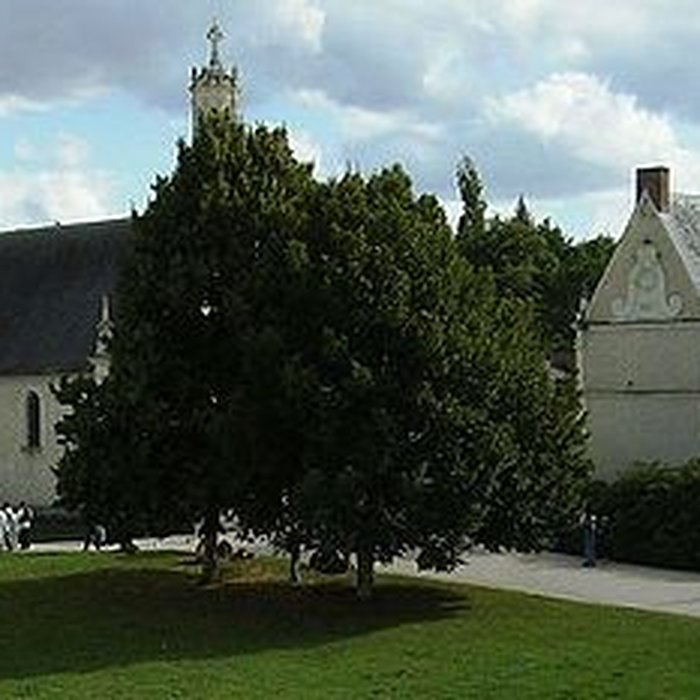 Photo de Château de Chambord