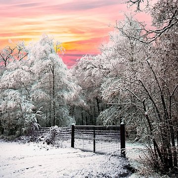 Château de Chambord