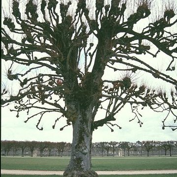Château de Chambord