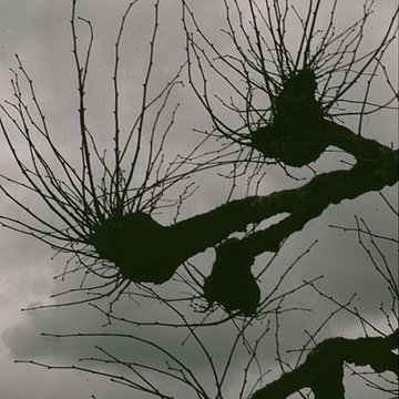 Château de Chambord