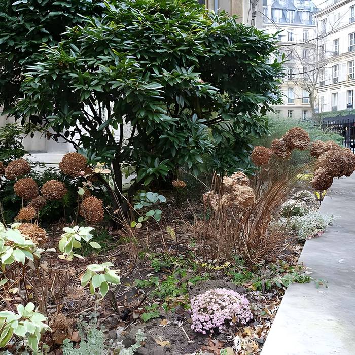 Photo de Basilique Sainte-Clotilde et Sainte-Valère