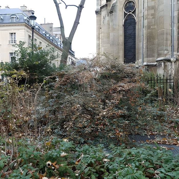 Photo de Basilique Sainte-Clotilde et Sainte-Valère