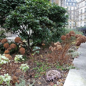 Basilique Sainte-Clotilde et Sainte-Valère