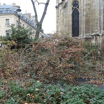Basilique Sainte-Clotilde et Sainte-Valère