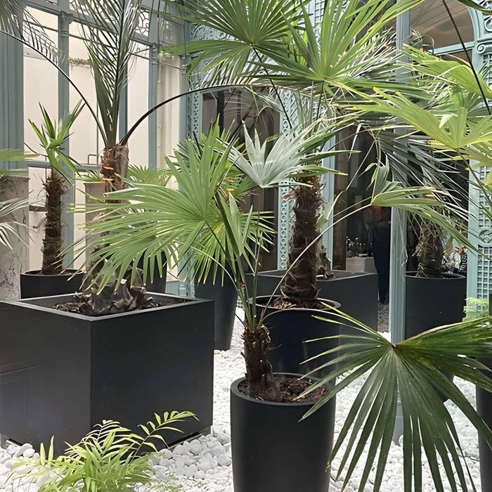 Photo de Ancien Garde-Meuble, actuellement ministère de la Marine ou Hôtel de la Marine