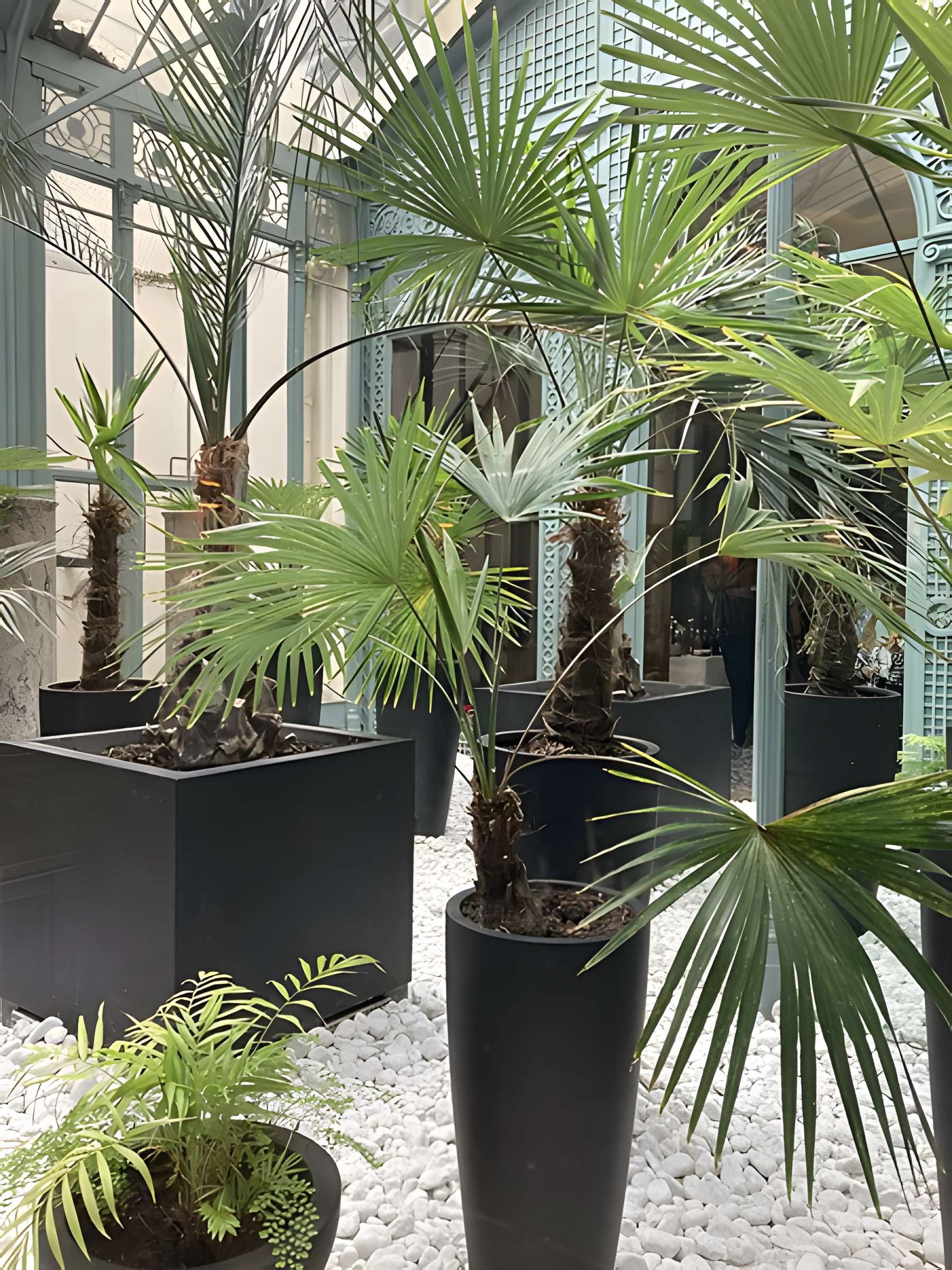 Ancien Garde-Meuble, actuellement ministère de la Marine ou Hôtel de la Marine