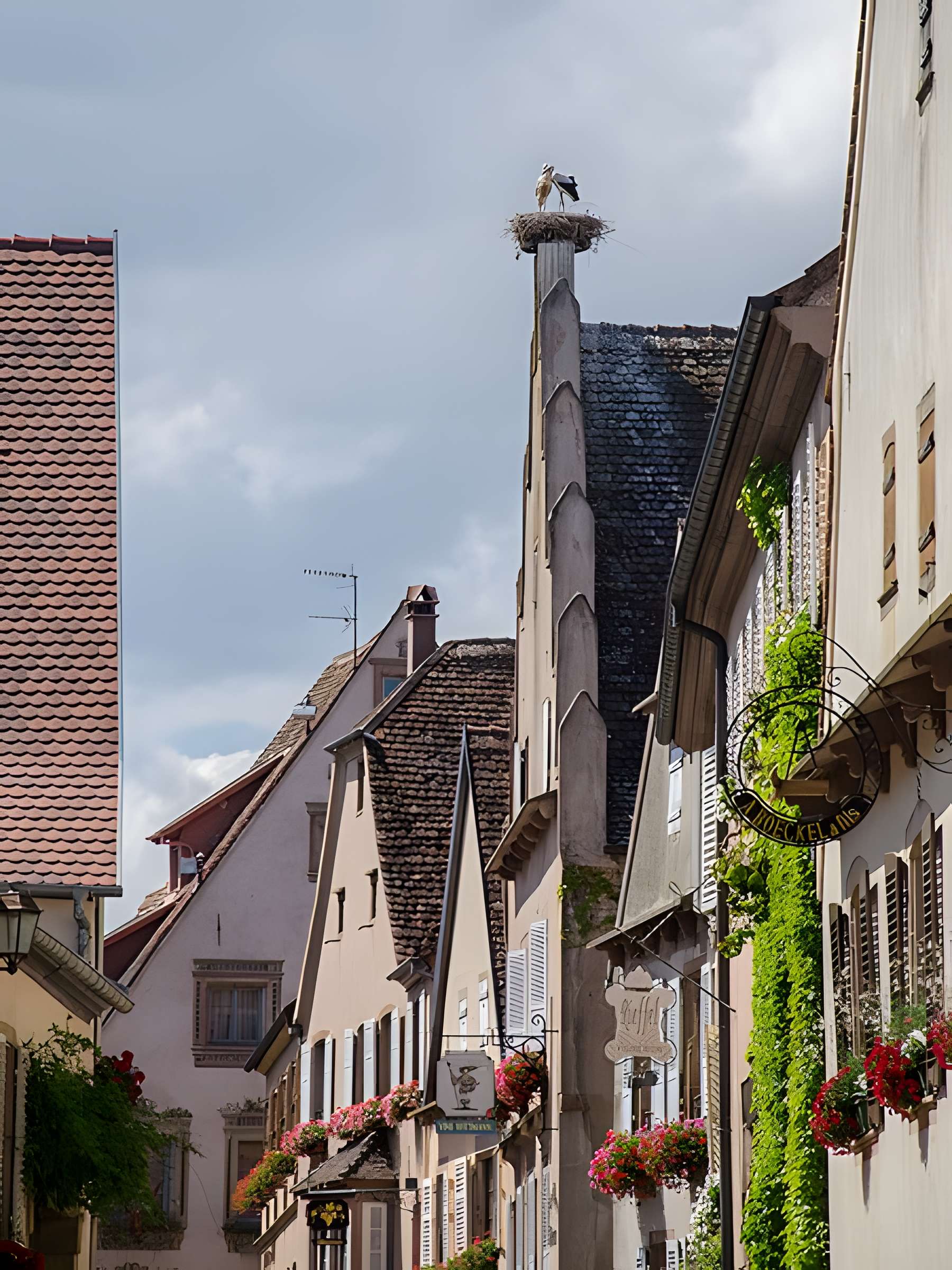 Maison au 7 Rue Principale à Mittelbergheim