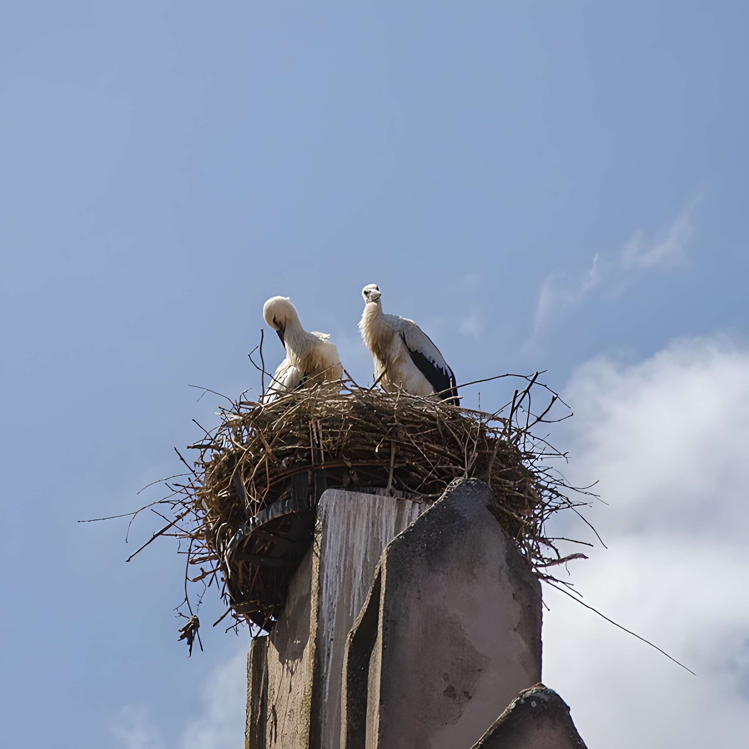 Maison au 7 Rue Principale à Mittelbergheim