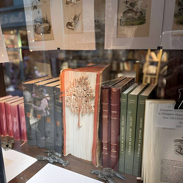 Photo de Musée Grévin voir aussi : passage Jouffroy