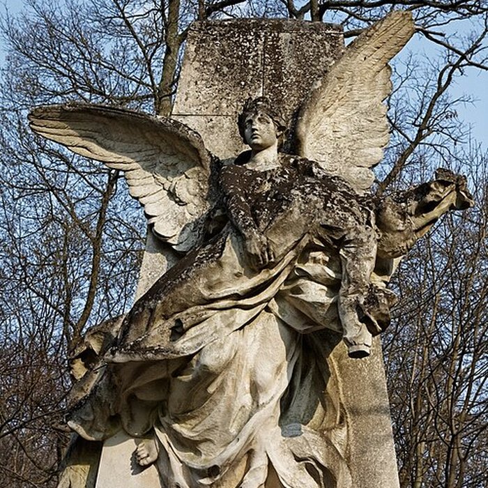 Photo de Château de Chantilly