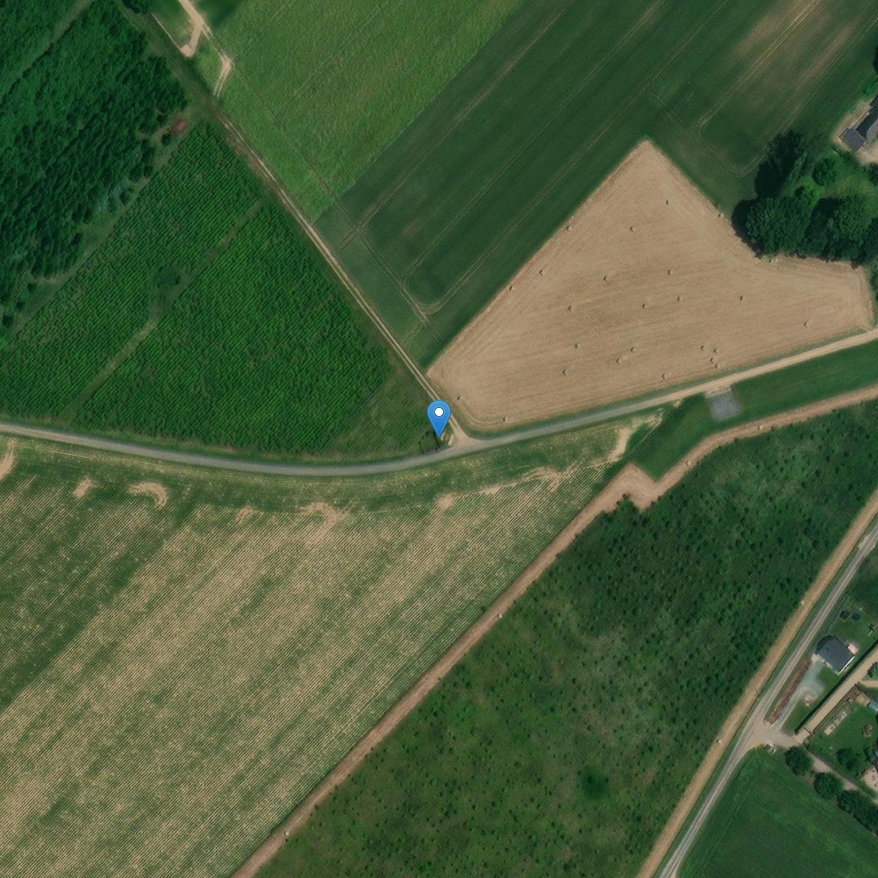 Photo de Notre-Dame-de-France Statue