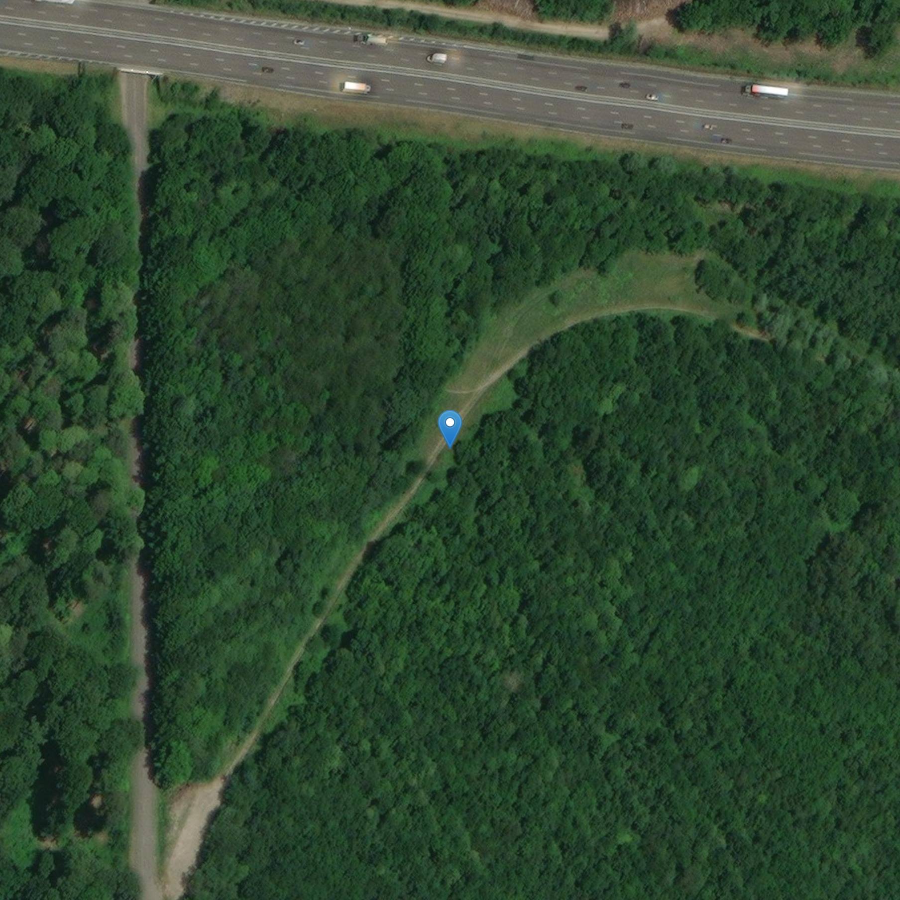 Photo de Villa du Gresil (Gallo-Roman Ruinen im Wald von Rouvray)