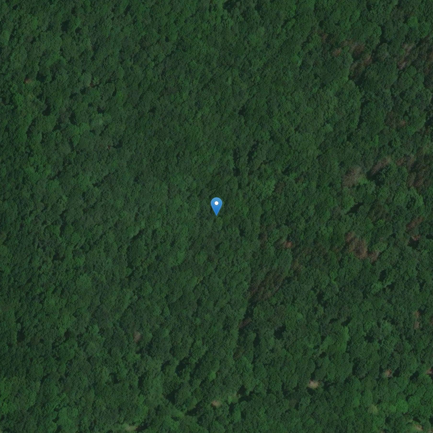 Photo de Tempio del Vivier-Gamelin