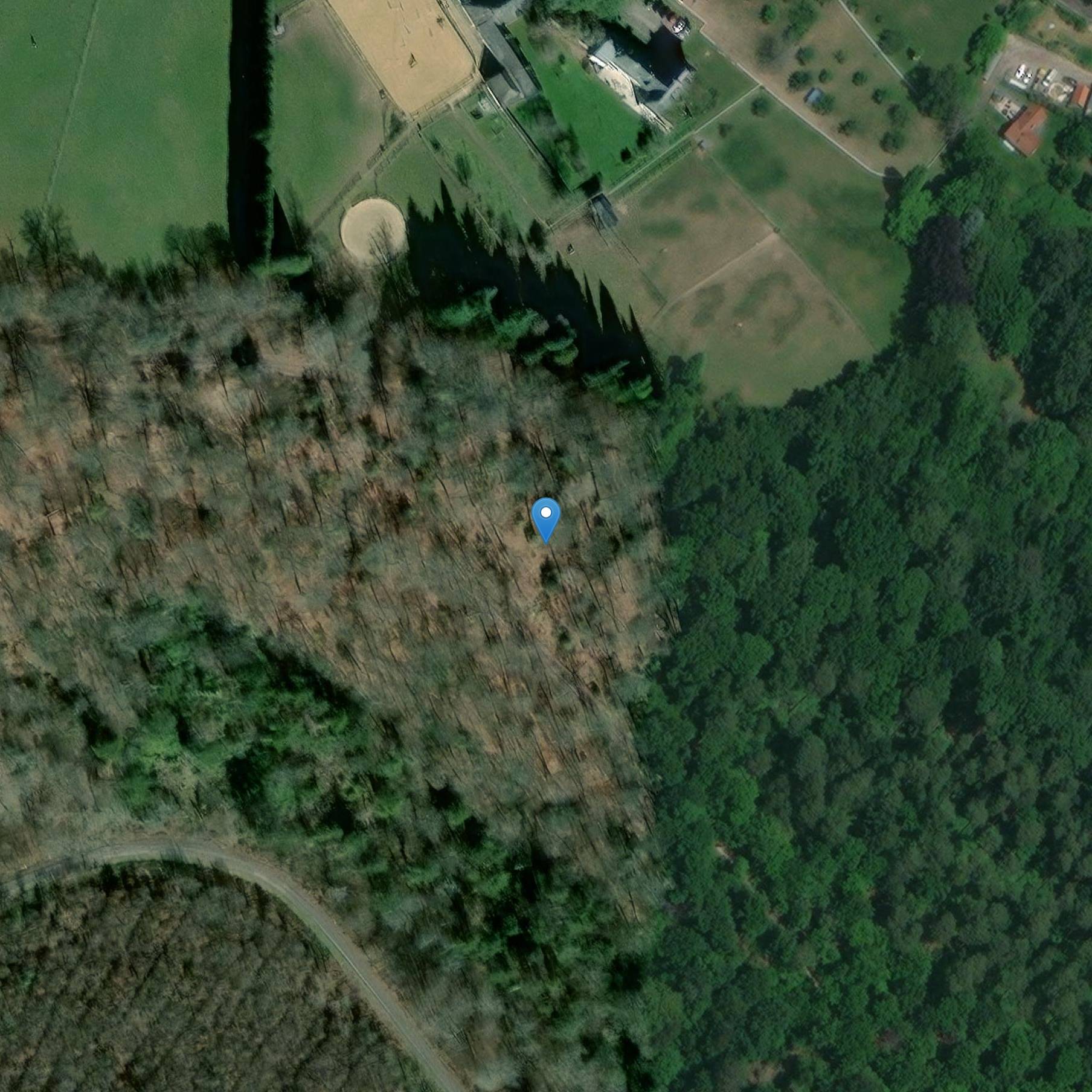 Photo de サン・オウン・デ・トゥーバーヴィル寺院