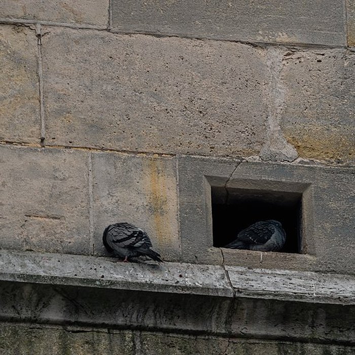 Photo de Eglise Notre-Dame