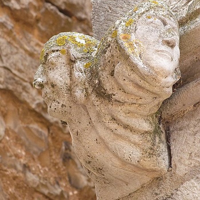 Photo de Maison des Loups à Caylus