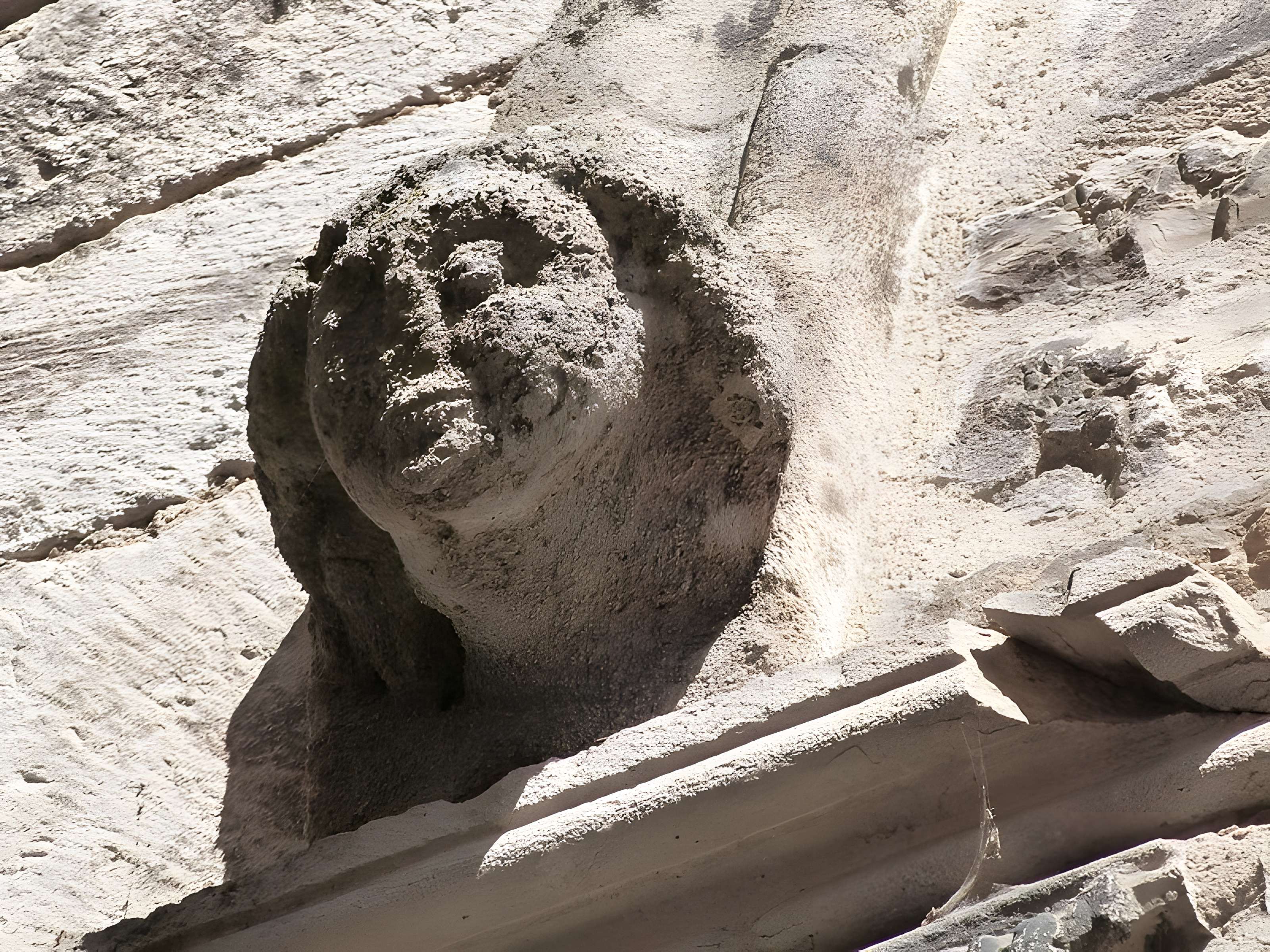 Maison des Loups à Caylus