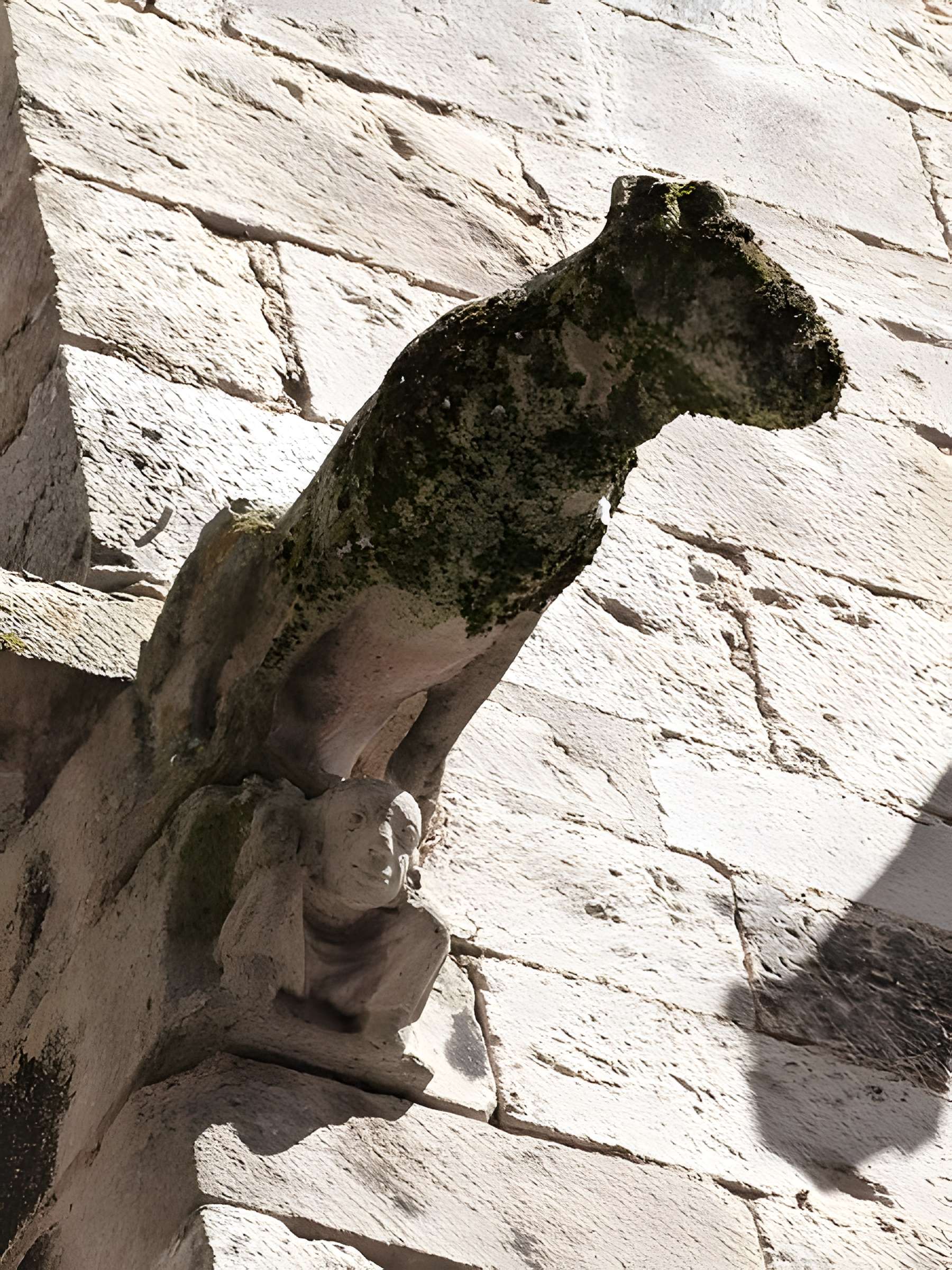 Maison des Loups à Caylus