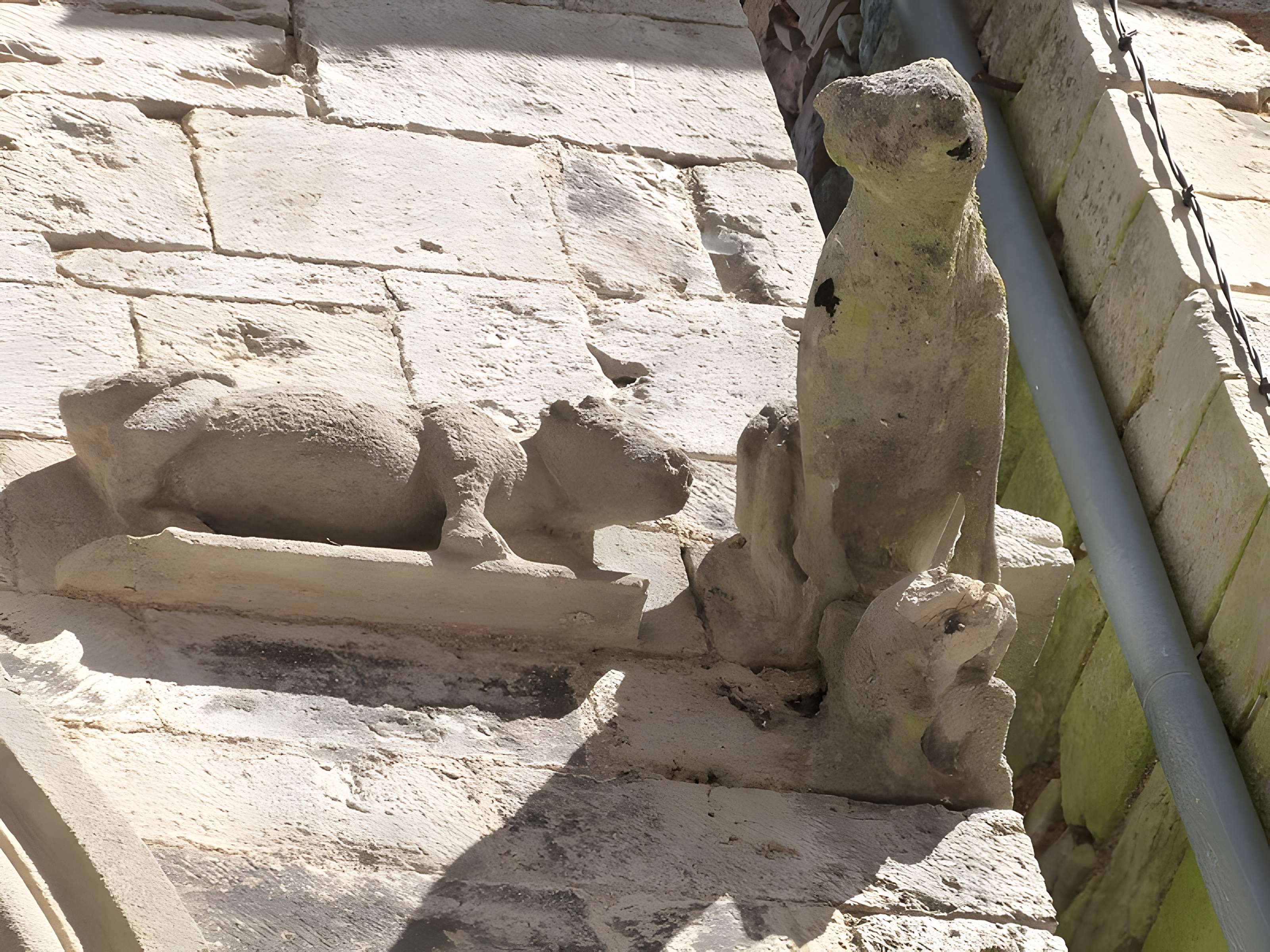 Maison des Loups à Caylus