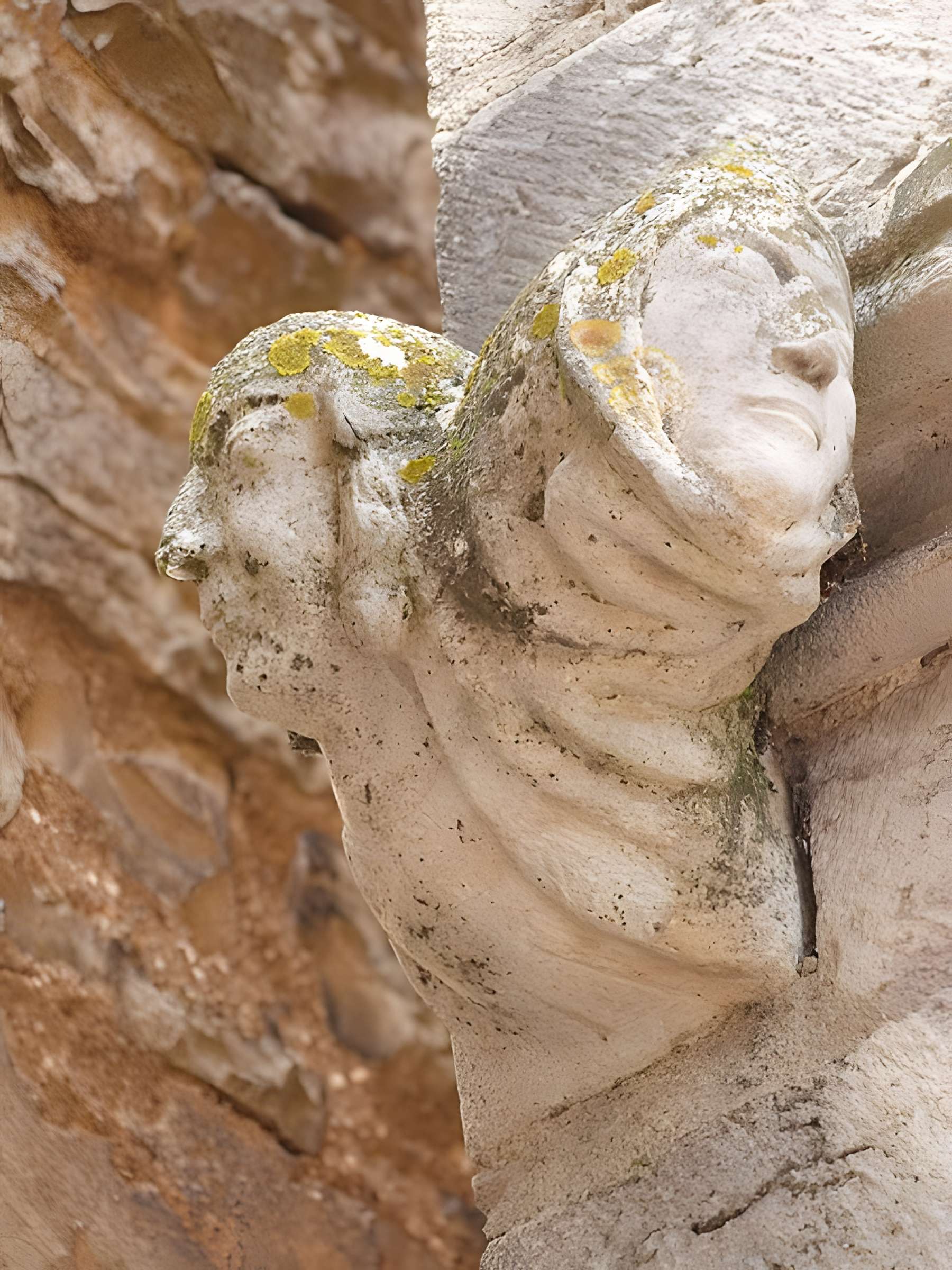 Maison des Loups à Caylus