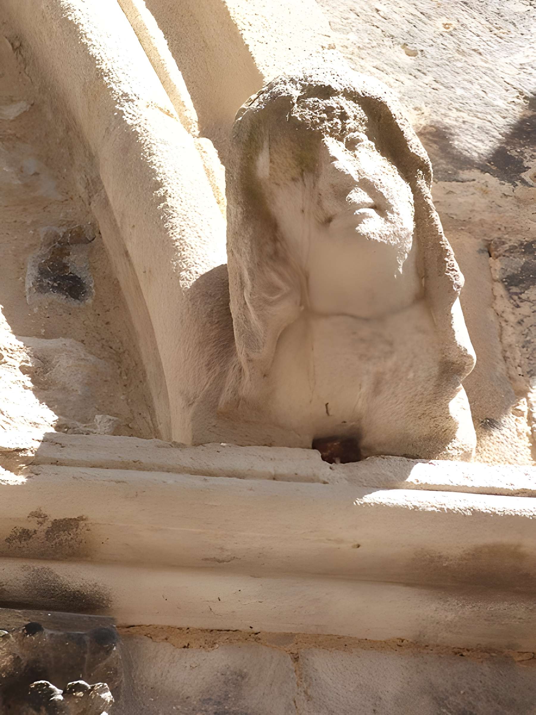 Maison des Loups à Caylus