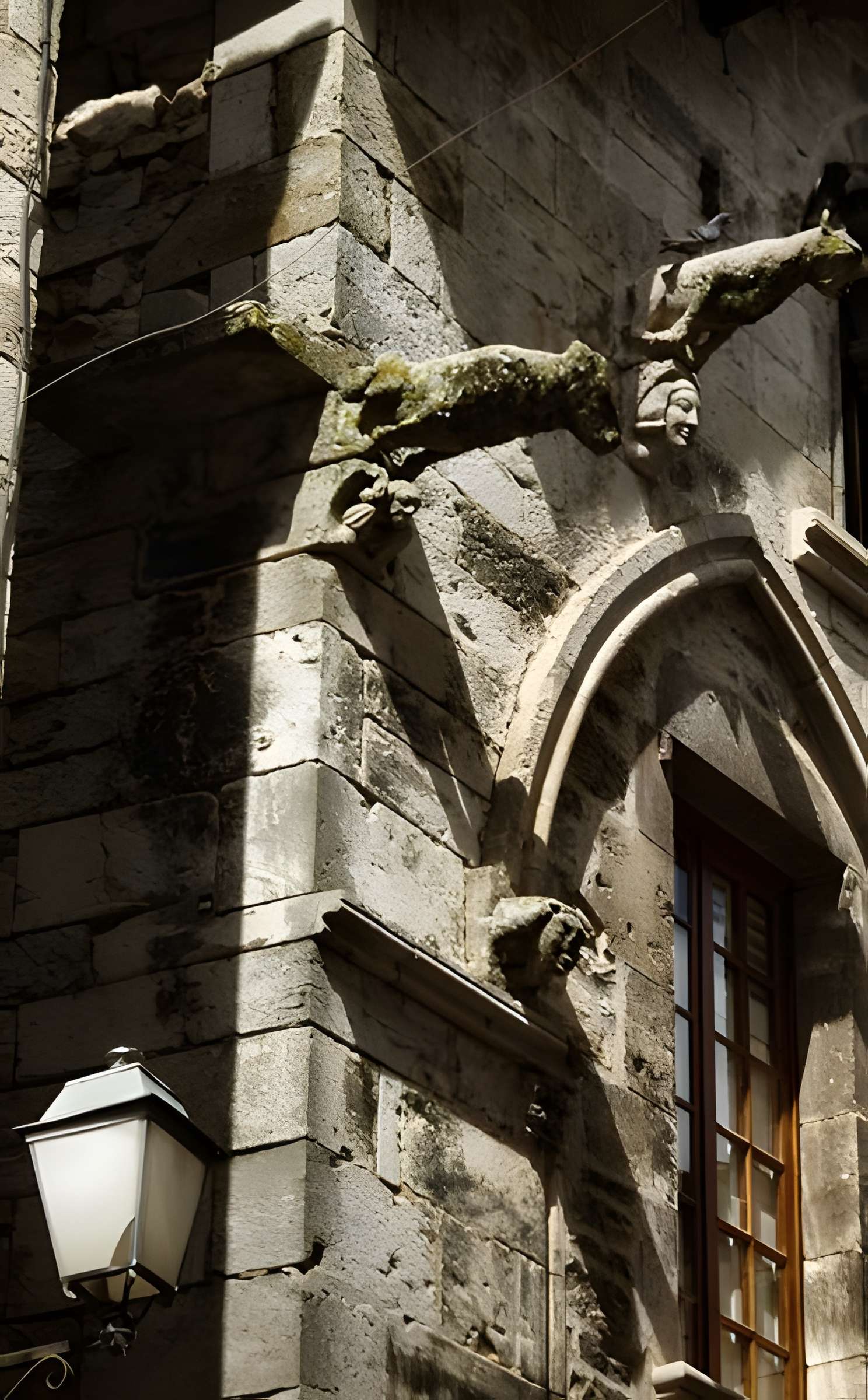 Maison des Loups à Caylus