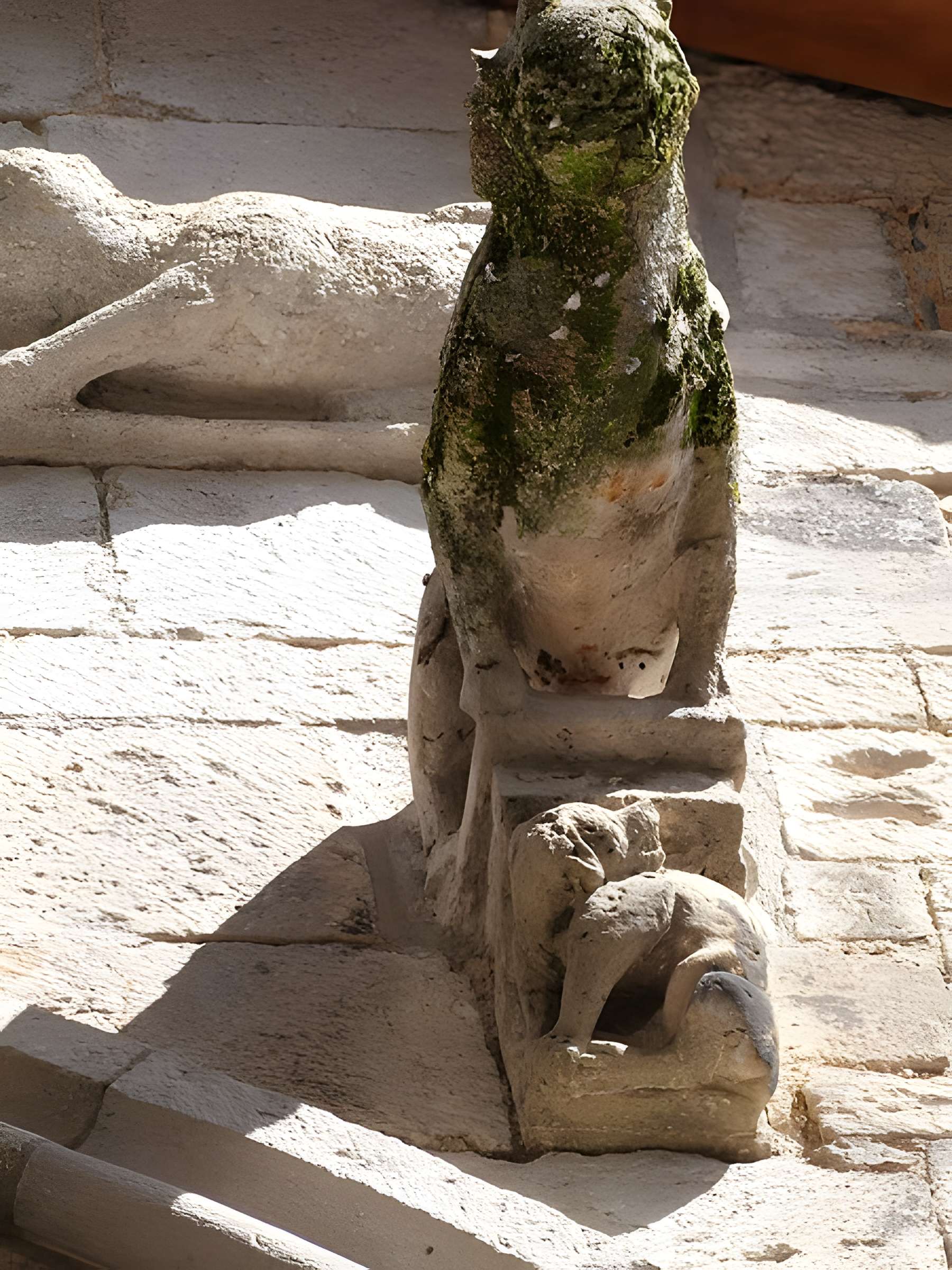 Maison des Loups à Caylus