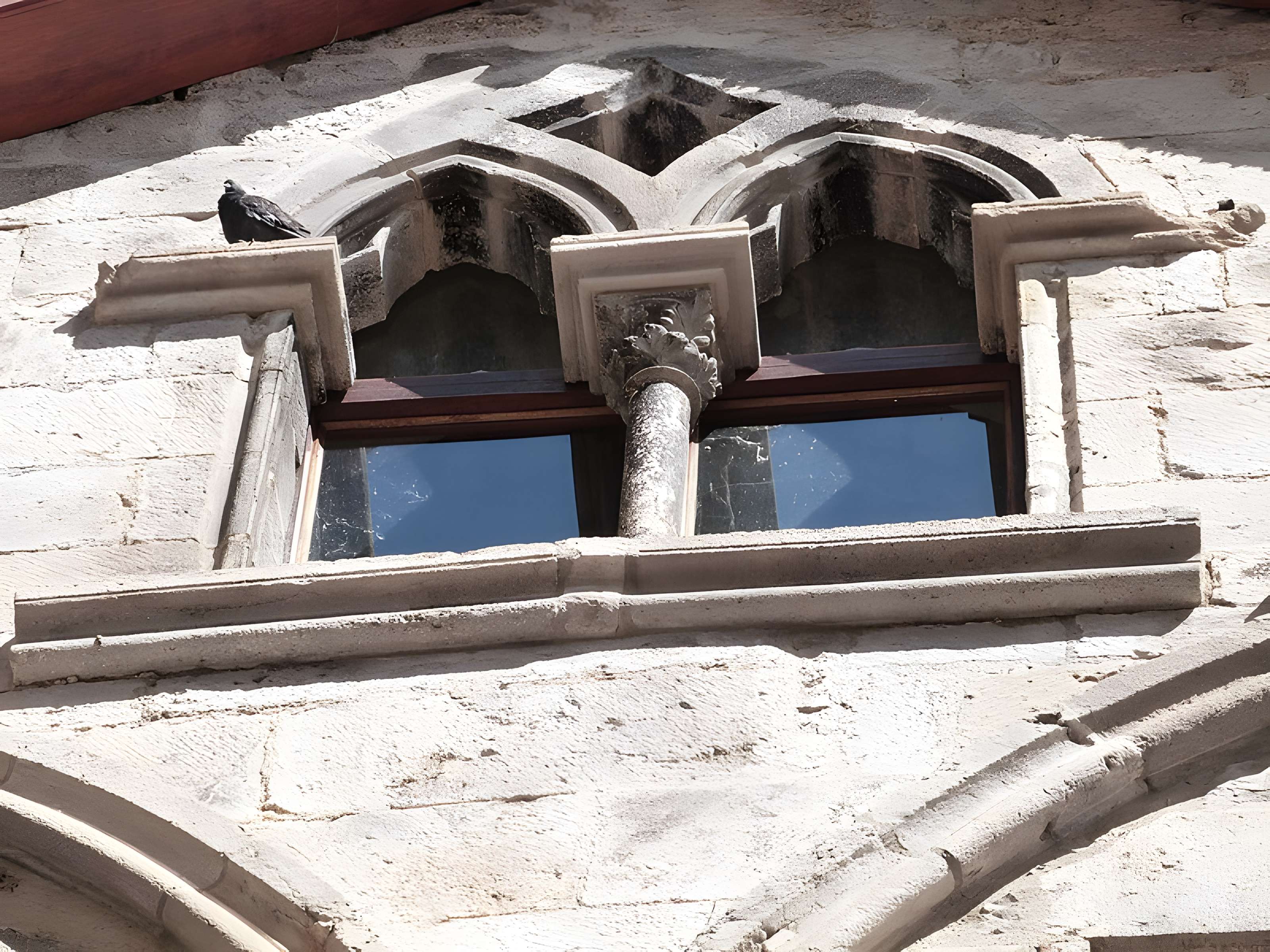 Maison des Loups à Caylus