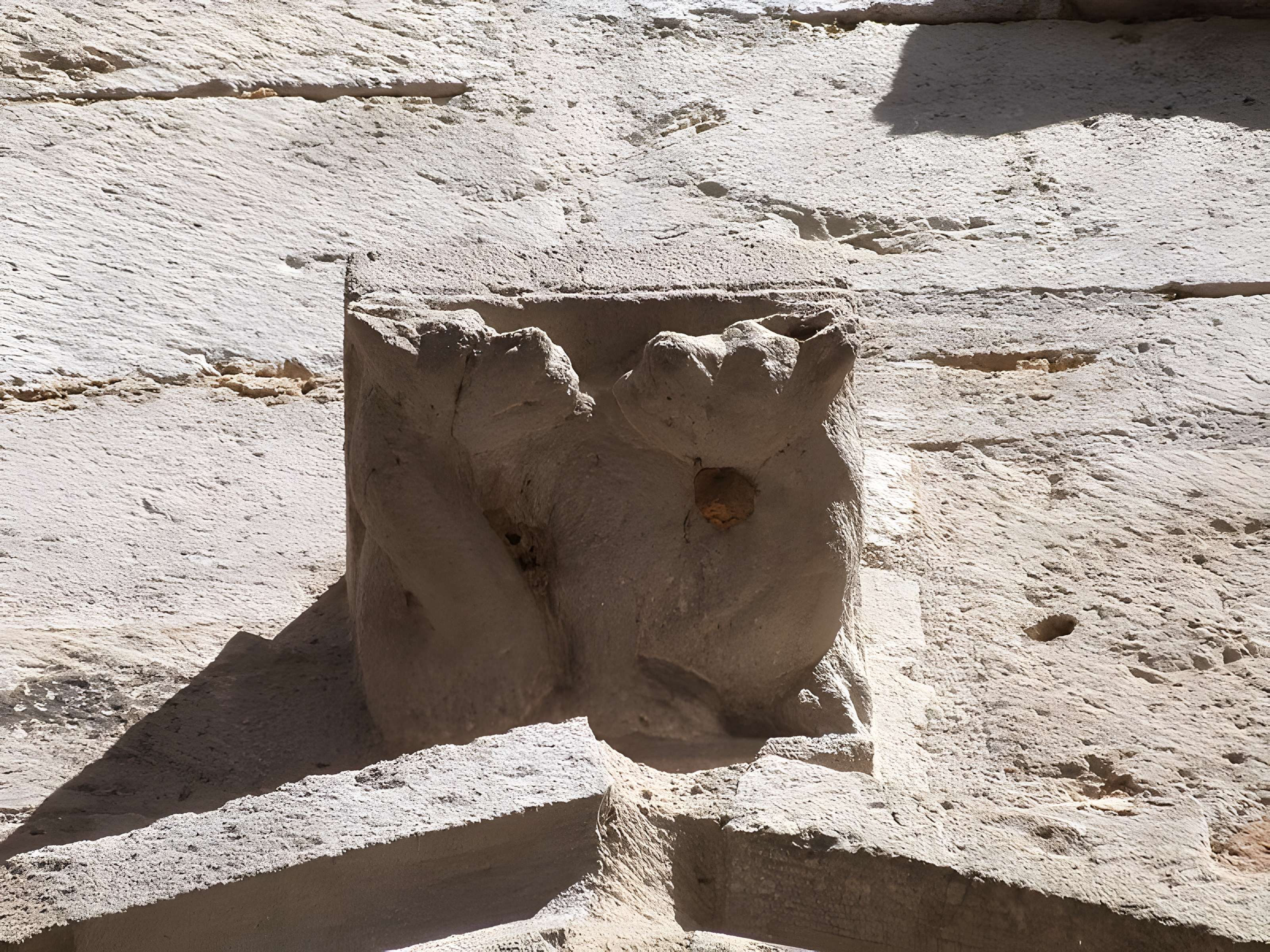 Maison des Loups à Caylus