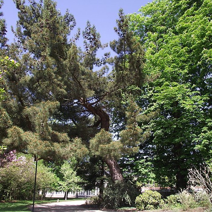 Photo de Jardin des Plantes
