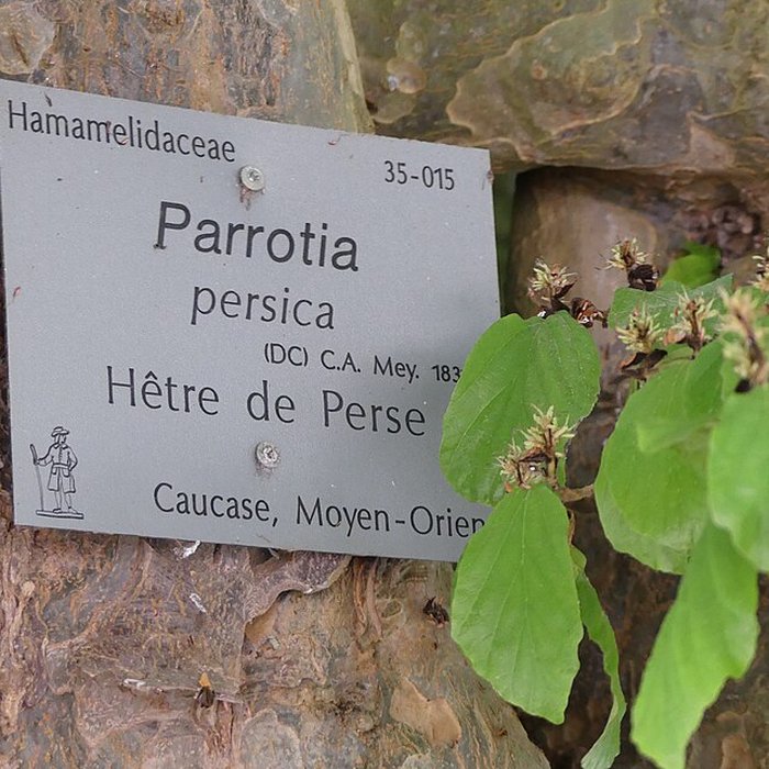 Photo de Jardin des Plantes