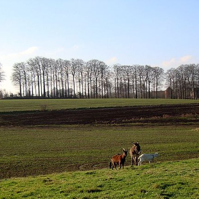 Photo de Manoir dit de Vertot