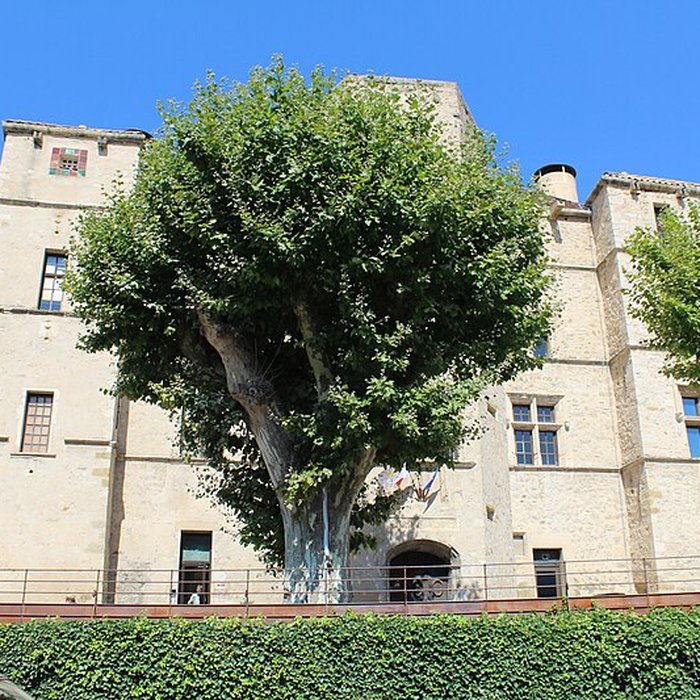 Photo de Château de Château-Arnoux-Saint-Auban