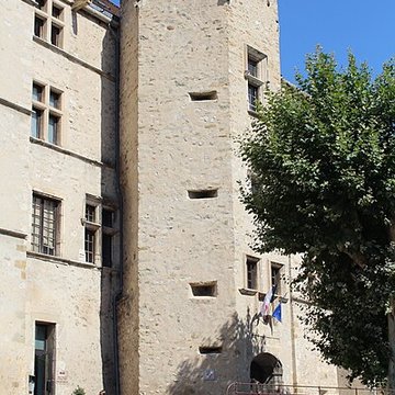 Château de Château-Arnoux-Saint-Auban
