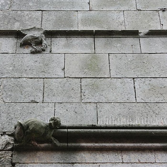 Photo de Maison du Grand Écuyer de Cordes-sur-Ciel