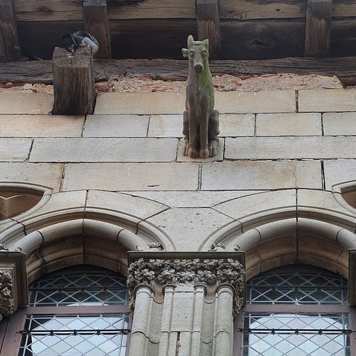 Photo de Maison du Grand Écuyer de Cordes-sur-Ciel