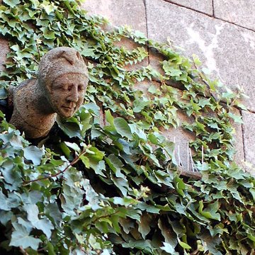 Maison du Grand Écuyer de Cordes-sur-Ciel