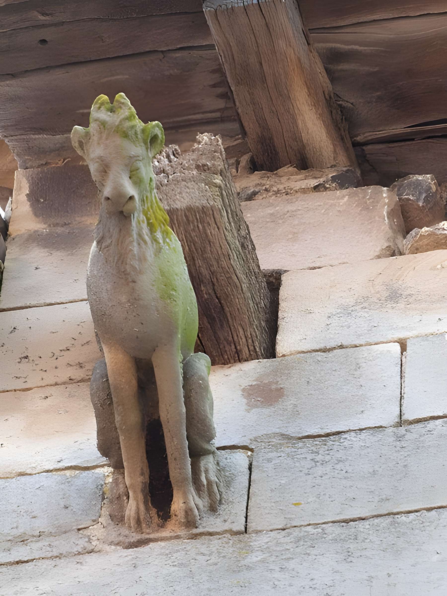 Maison du Grand Écuyer de Cordes-sur-Ciel