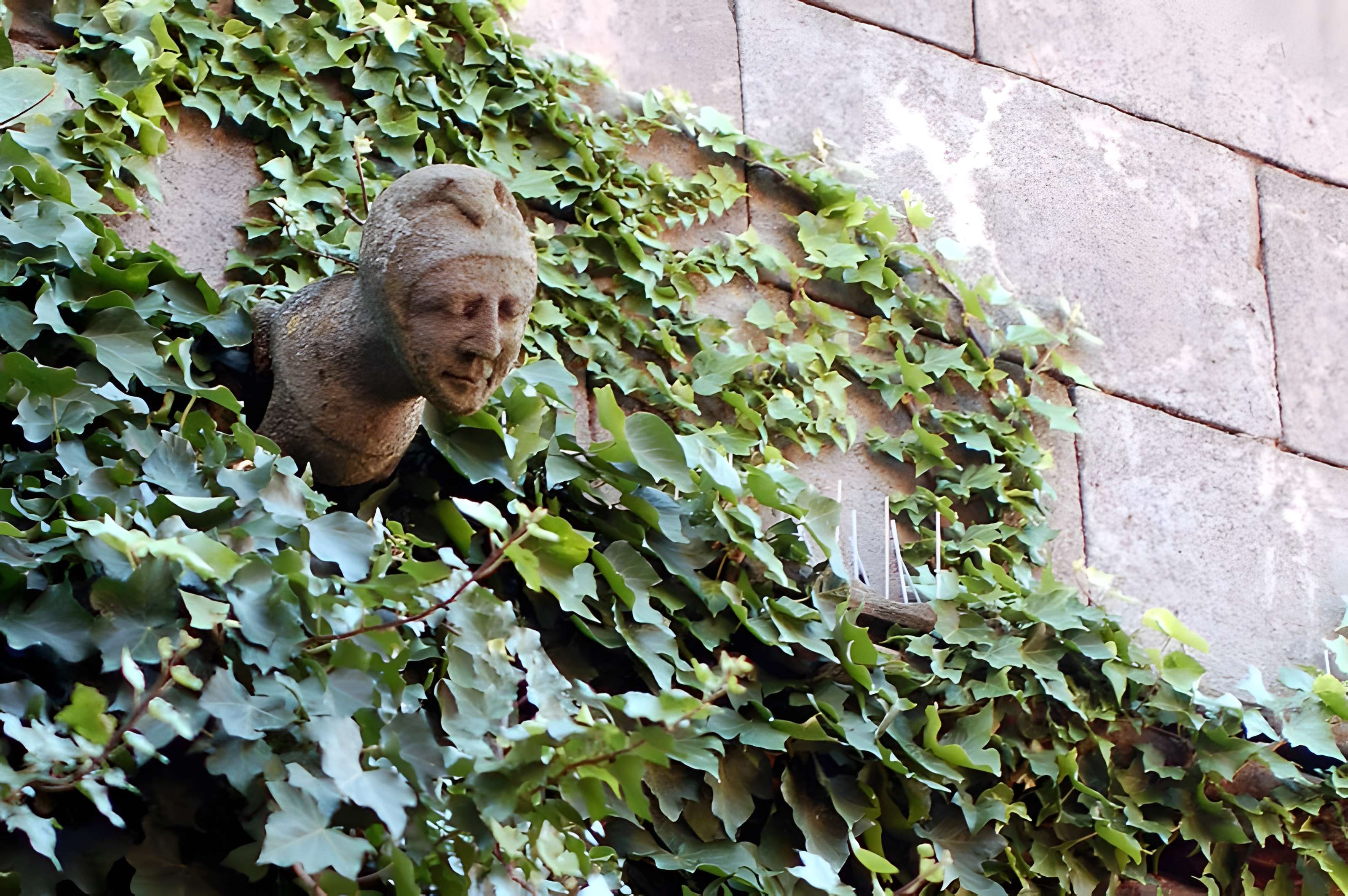 Maison du Grand Écuyer de Cordes-sur-Ciel