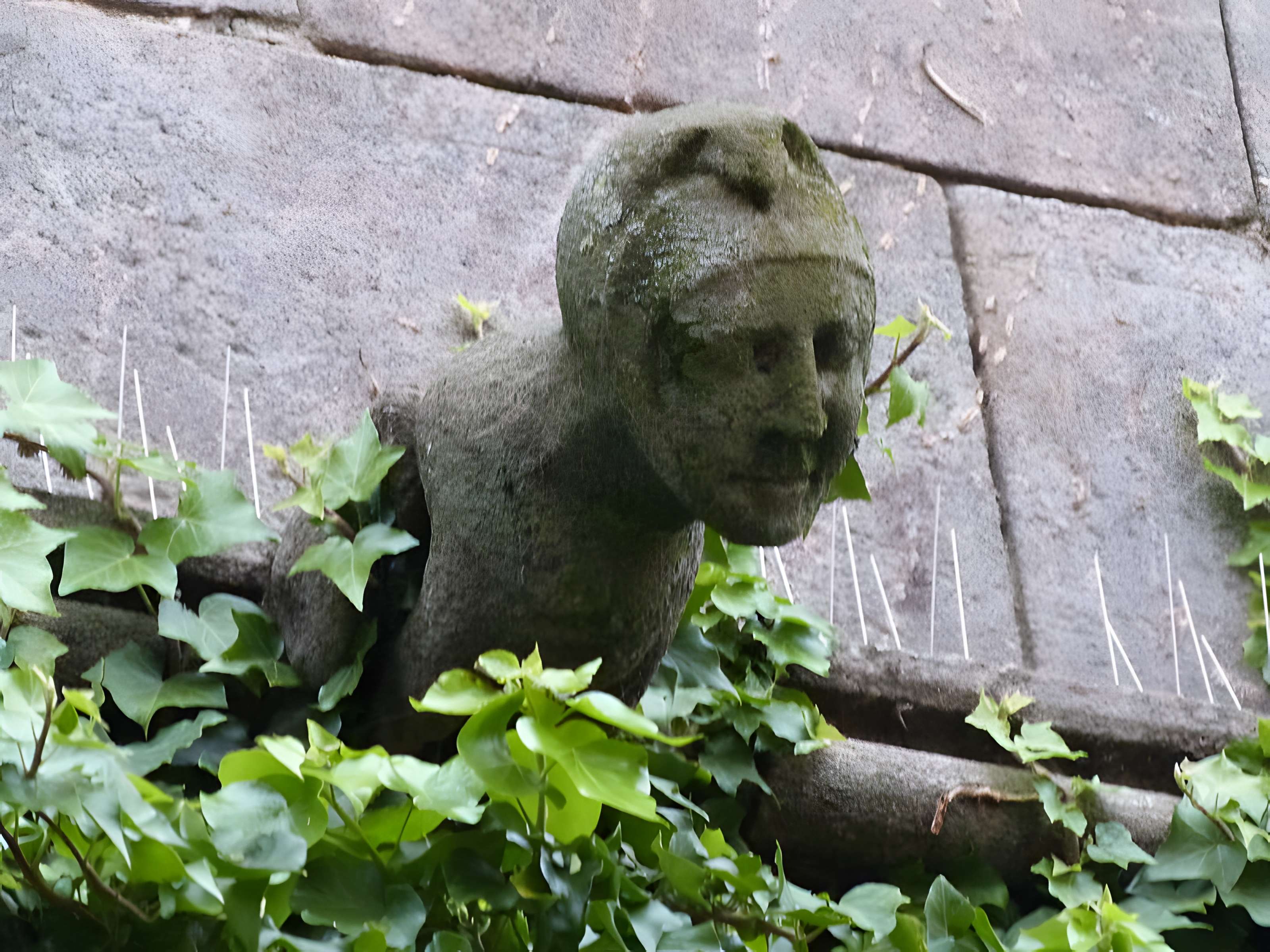Maison du Grand Écuyer de Cordes-sur-Ciel