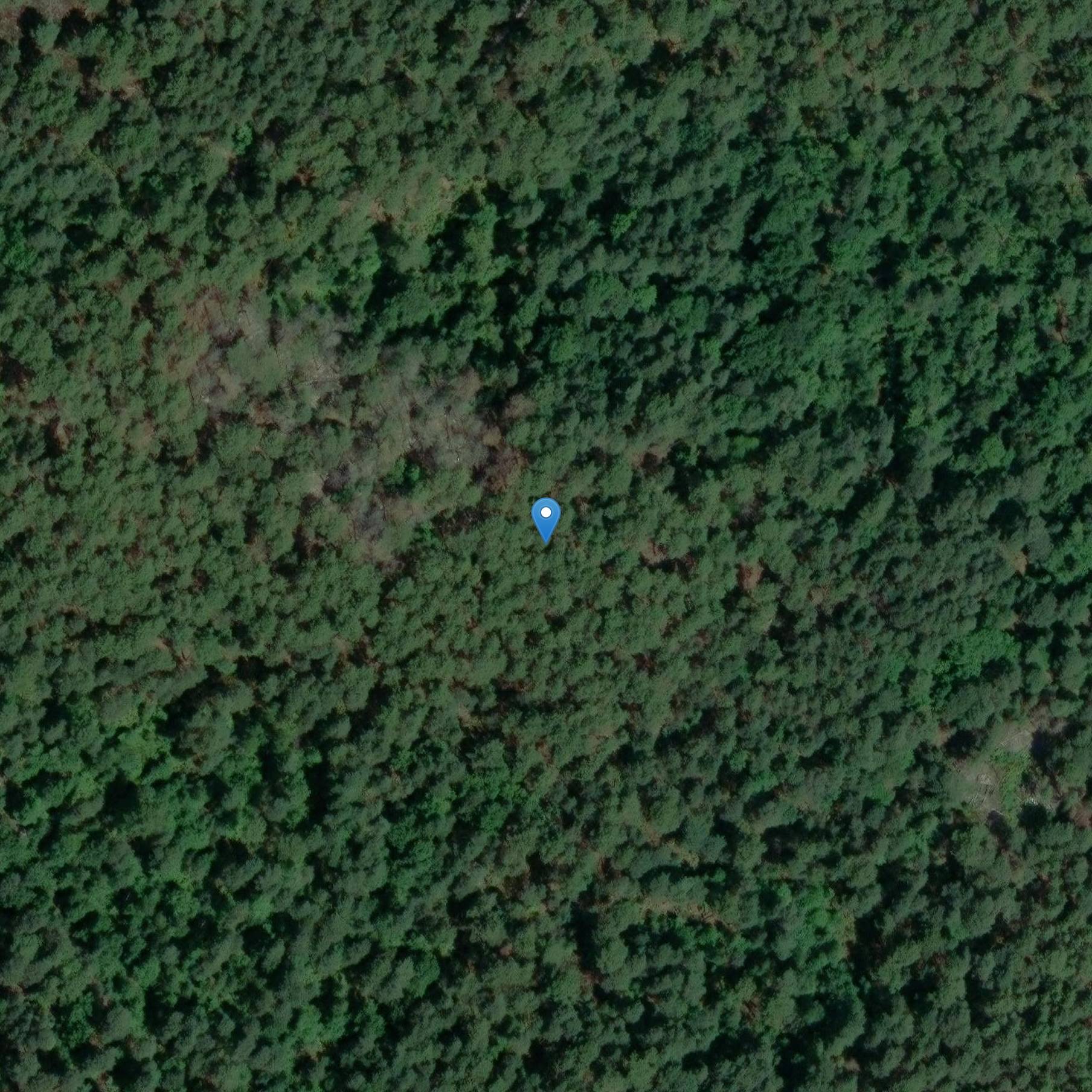 Photo de Shelter under rock adorned with prehistoric paintings