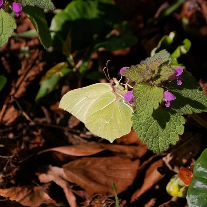 Photo de Ancien chenil royal, actuellement école dapplication dartillerie