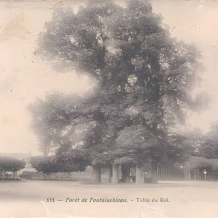 Photo de Table du Roi