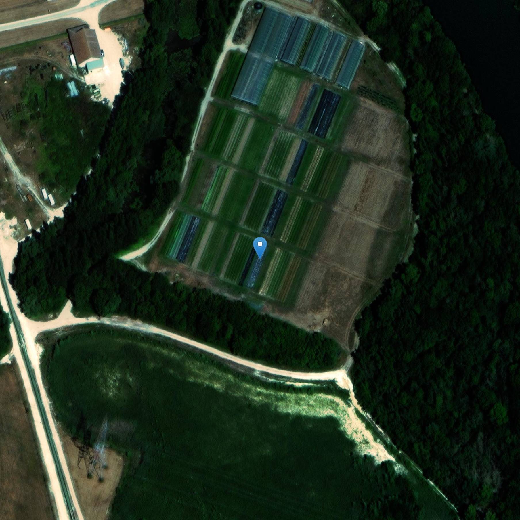 Photo de Oppidum et sanctuaire insulaire