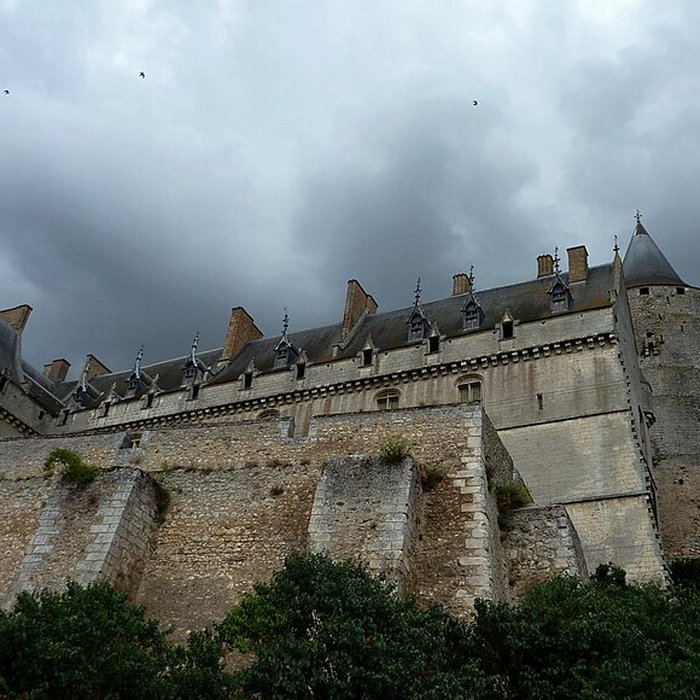 Photo de Château de Châteaudun