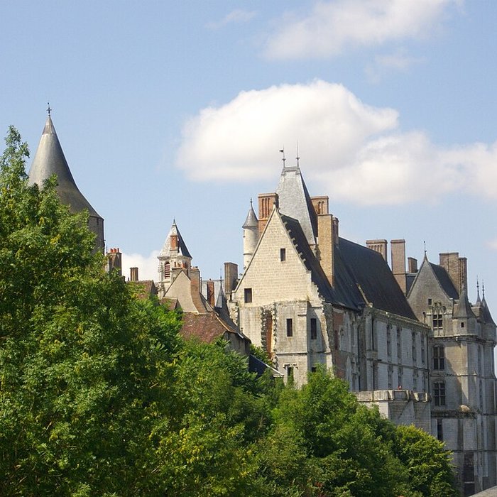 Photo de Château de Châteaudun