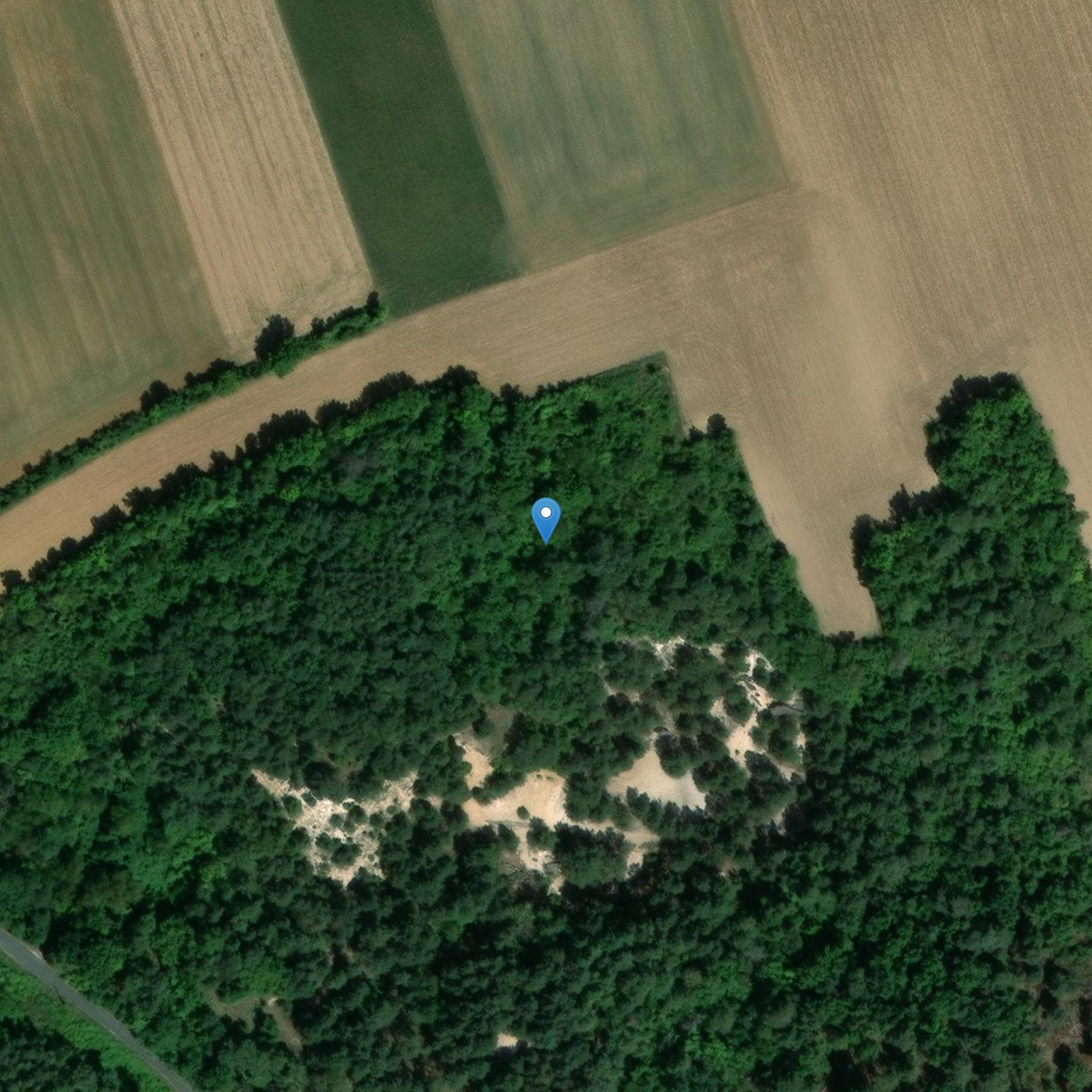 Photo de Felsvorhang mit prähistorischen Gravuren geschmückt